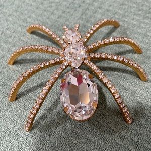 Spider brooch
